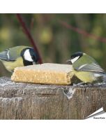 VEGAN vetblok voor tuinvogels van Aniculis ✔️ Vol plantaardige kracht - Met pinda's ✔️ Zonder dierlijke vetten of palmolie ➤ Bestel nu vogelvoer op www.vogelhuisje.com