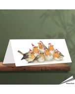 Kerstkaart met leuke Roodborstjes - Voor natuurliefhebbers - www.vogelhuisje.com