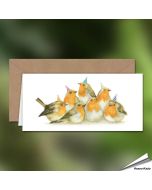 Verjaardagskaart met roodborstjes - Voor natuurliefhebbers - Vogelhuisje.com