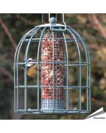 Compact voedersilo voor pinda's met beschermkooi | groen | Vogelhuisje.com