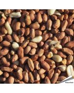 Premium pinda's voor tuinvogels - www.hoezo-kado.nl