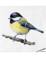 Servetten Koolmees| 20 stuks | FSC & 3-laags | Vogelhuisje.com