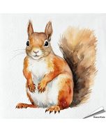 Servetten Eekhoorn | 20 stuks | 3-laags | Vogelhuisje.com