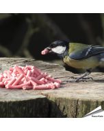 Energierijke vet traktaties met bessen voor tuinvogels ✔️ Ideaal voor het hele jaar door voeren ✔️ Delicatesse voor o.a. merels, roodborstjes... ➤ Online kopen bij Vogelhuisje.com