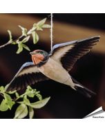 DecoBird - Boerenzwaluw | Houtgesneden vogel | lindenhout - Vogelhuisje.com