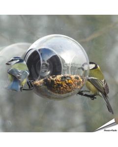 Birdfeeder Raamvoederhuisje - Born in Sweden ➤ Online op Vogelhuisje.COM