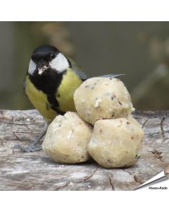 Kleine vetbollen voor wilde vogels - Tuinvogelvoer - Vogelhuisje.com