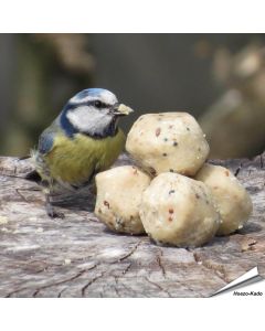 Kleine mezenbollen voor wilde vogels - Tuinvogelvoer - Vogelhuisje.com