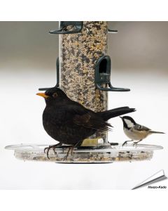 BigEasy™ opvangschaal (278mm)