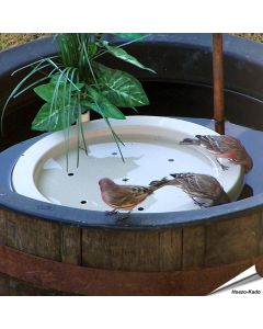 Birdbath Raft™