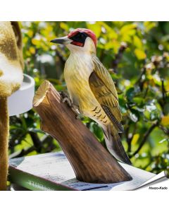 DecoBird - Groene specht | Houtgesneden vogel | lindenhout | Vogelhuisje.com