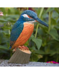 Natuurgetrouwe DecoBird IJsvogel van hout, op ware grootte en met levensechte kleuren. Inclusief informatieboekje over de vogelsoort.
