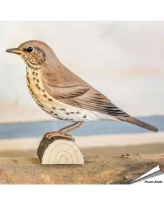 Zanglijster (Turdus philomelos) - Decobird van Wildlife Garden - Koop online op Vogelhuisje.com