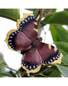 DecoButterfly Rouwmantel van Wildlife Garden als houten vlinderdecoratie tussen groene bladeren, met donkerbruine vleugels, blauwe stippen en gele randen.