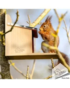 Eekhoorn voederhuis met metalen dak - www.vogelhuisje.com