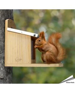 Eekhoorn voederhuis XL met metalen dak ✔️ Duurzaam product, speciaal ontworpen voor eekhoorns ✔️ Gemaakt van grenenhout ➤ Online bestellen op Vogelhuisje.com