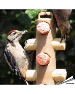Energierollenpakket - Energierollen - Tuinvogelvoer - Vogelhuisje.COM