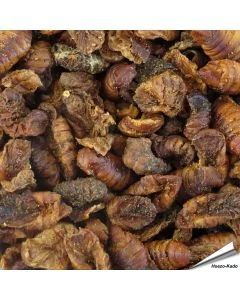 Gedroogde zijderupsen (1 kg)