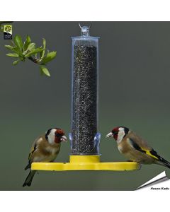 Goldfinch Finder™