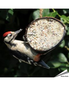 Halve kokosnoot gevuld met meelwormen ✔️ Hoogwaardige energiebron voor wilde vogels ✔️ Eenvoudig op te hangen dankzij het touwtje ✔️ Het hele jaar door te gebruiken ➤ Bestel nu online bij Vogelhuisje.com