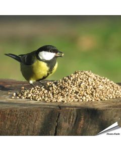Kempzaad - Tuinvogelvoer voor wilde vogels - Vogelhuisje.COM