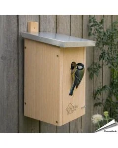 Mezennestkast voor Mezen (32mm) | Koop nu bij Vogelhuisje.com