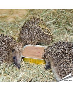 Egelvoer - Bio-pat&eacute; voor egels (100g)