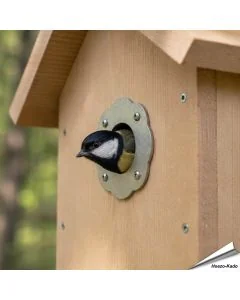 Bescherm je nestkast tegen uithakken met ons invliegplaatje (rozet) ✔️ Verkleint de invliegopening op 32mm ✔️ Gemaakt van roestvrij staal ✔️ Geschikt voor koolmezen en andere tuinvogels ✔️ Bestel nu op Vogelhuisje.com