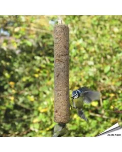 Energievoer voor tuinvogels in je tuin ✔️ Verrijkt met eiwitrijke garnalen ✔️ Direct op te hangen dankzij geïntegreerd touw ✔️ Geschikt voor jaarrond bijvoeren ➤ Bestel vogelvoer eenvoudig online bij Vogelhuisje.com