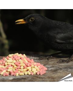Traktatie-Mix - Insecten & bessen