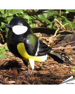 Decor Bird - Koolmees (metaal) 