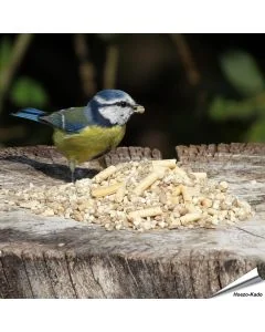 Hoogwaardig, onkruidvrij vogelvoer van Aniculis speciaal voor kleine vogelsoorten ✔️ Met zonnebloempitten, pinda’s en insecten traktaties ✔️ Rijk aan energie en eiwitten ➤ Bestel online op Vogelhuisje.com