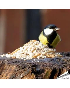 Premium Aniculis-vogelvoer speciaal voor kleine vogelsoorten ✔️ Met zonnebloempitten, pinda’s en gedroogde meelwormen ✔️ Energie- en eiwitrijk ➤ Bestel nu op Vogelhuisje.com