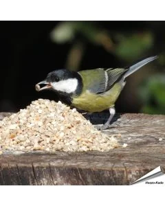 Mix voor kleine vogels - No Mess (2 kg)