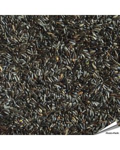 Nigerzaad (1 kg)