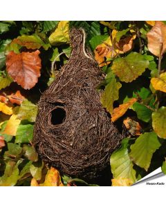 Nestbuidel Holenbroeders