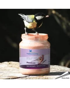 Vogelbescherming pindakaas met bosvruchten in glazen pot