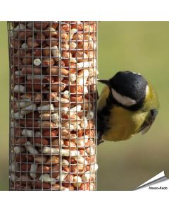 Hoogwaardige pinda&rsquo;s gemengd met vet pellets van Aniculis ✔️ Energie- en eiwitrijk vogelvoer voor je pindasilo&rsquo;s ✔️ Het hele jaar door tuinvogels voeren ➤ Online kopen bij Vogelhuisje.com