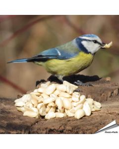 Premium halve pinda's (2 kg) | THT 15-09-2026
