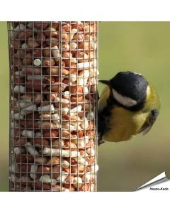 Hoogwaardige pinda’s gemengd met vet pellets van Aniculis ✔️ Energie- en eiwitrijk vogelvoer voor je pindasilo’s ✔️ Het hele jaar door tuinvogels voeren ➤ Online kopen bij Vogelhuisje.com