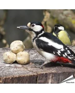 Kleine mezenbollen voor wilde vogels - Tuinvogelvoer - Vogelhuisje.com