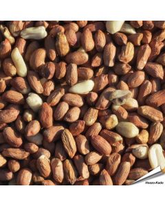 Premium pinda's (12.75 kg)