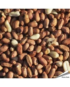 Premium pinda's (2 kg) | Vogelhuisje.com