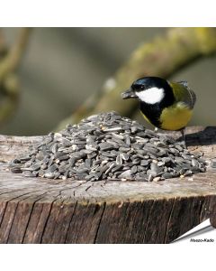 Premium voedersilo mix (1.8 kg)