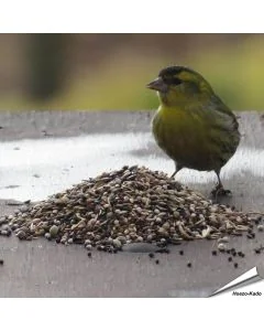 Premium vogelvoer - Tuinvogels (1 kg)