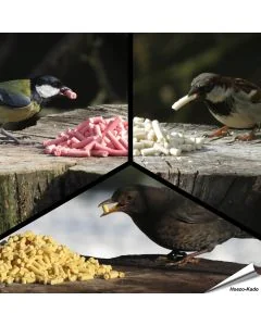 Proefpakket met 3 vettraktaties voor tuinvogels