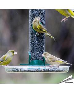 Ring-Pull - Opvangschaal (215mm)