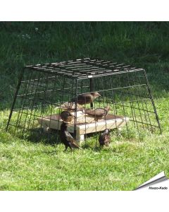 Laat de vogels rustig eten met de Beschermkooi voor grondvoedertafels. Vogelhuisje.com