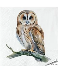 Servetten Uil | 20 stuks | FSC | Vogelhuisje.com