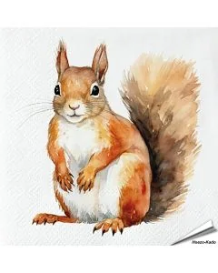 Servetten Eekhoorn | 20 stuks | 3-laags | Vogelhuisje.com
